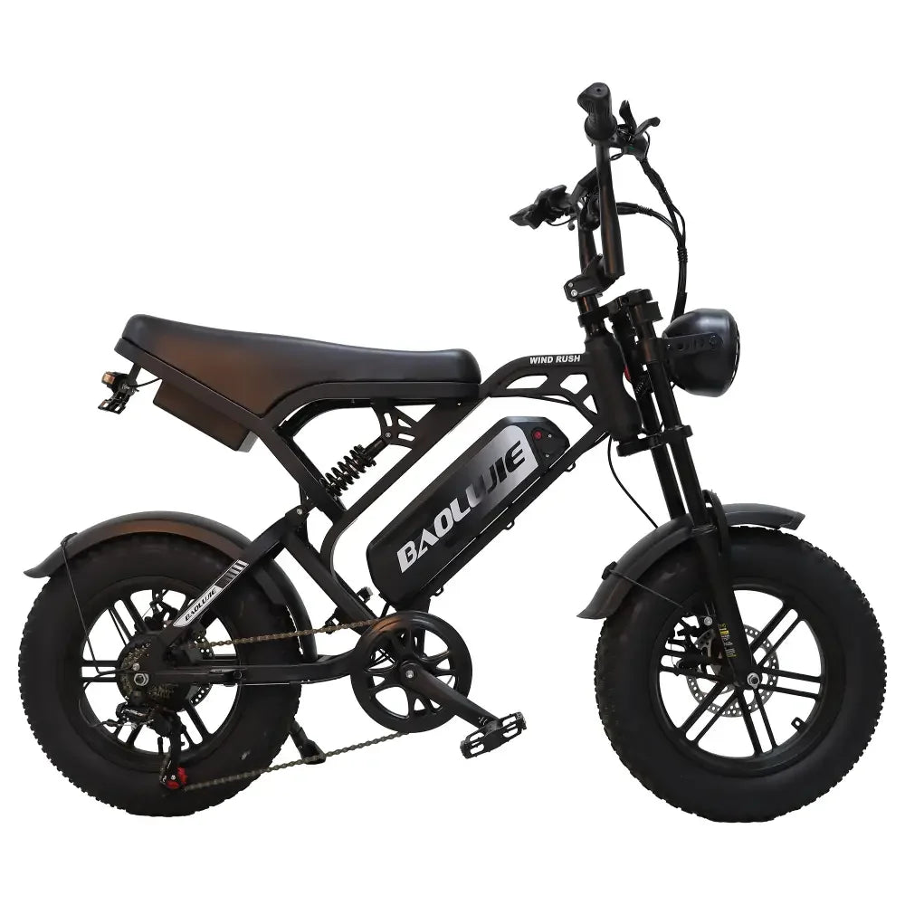 BAOLUJIE F2 EBike Motor Electric Bicycle 48V 13AH Removable Battery Outdoor E-bike for Adults Max Speed 25MPH【1 Year Warranty】