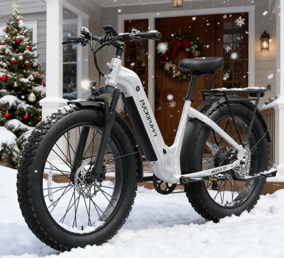 Electric Bike for Adults 960W, 26" Fat Tire, Step-Through Design Electric Mountain Hunting Bike, 48V 15AH Max 28MPH, Customized