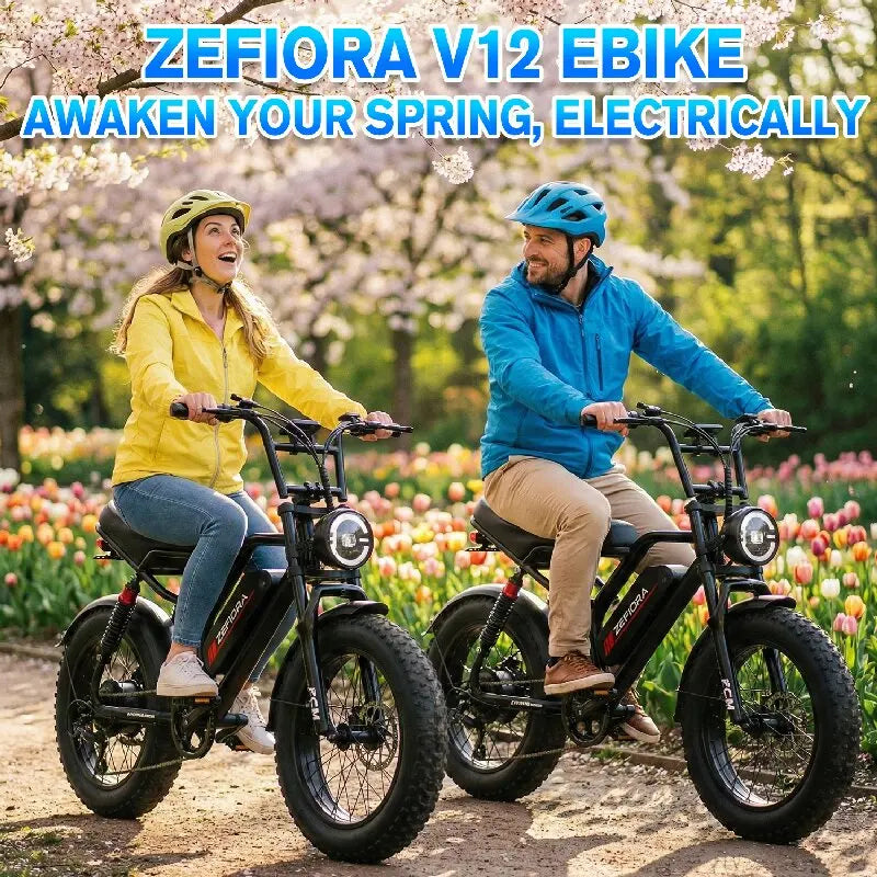 14 Inch Explorer King Mountain Ebike,Certified UL2849 45° Climbing Adjustable Front Brake Seat Factory Original Free Local Shipping