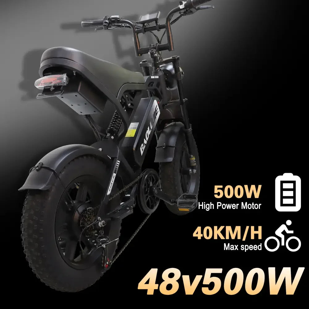 BAOLUJIE F2 EBike Motor Electric Bicycle 48V 13AH Removable Battery Outdoor E-bike for Adults Max Speed 25MPH【1 Year Warranty】
