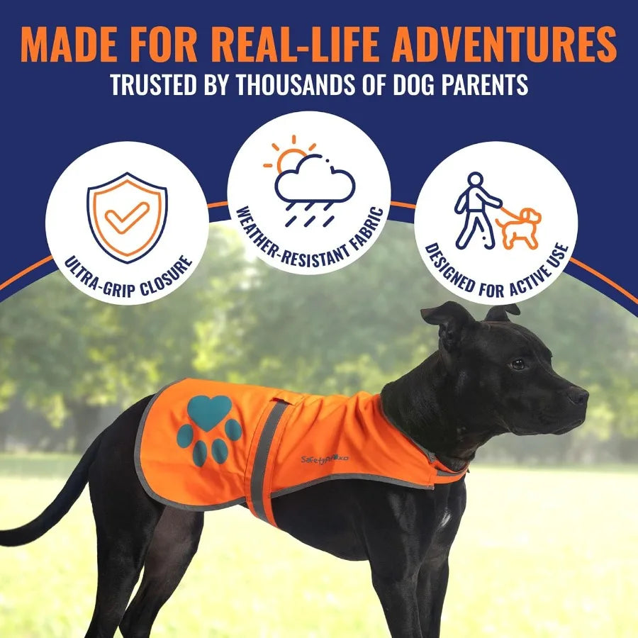Reflective Dog Vest for Enhanced Safety: HiVisibility Fluorescent Blaze Orange Design Provides Maximum Visibility in Low Light