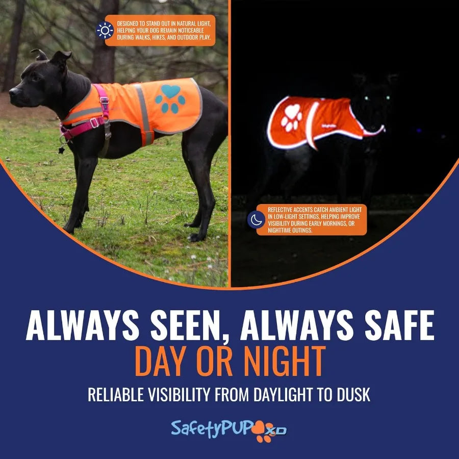 Reflective Dog Vest for Enhanced Safety: HiVisibility Fluorescent Blaze Orange Design Provides Maximum Visibility in Low Light