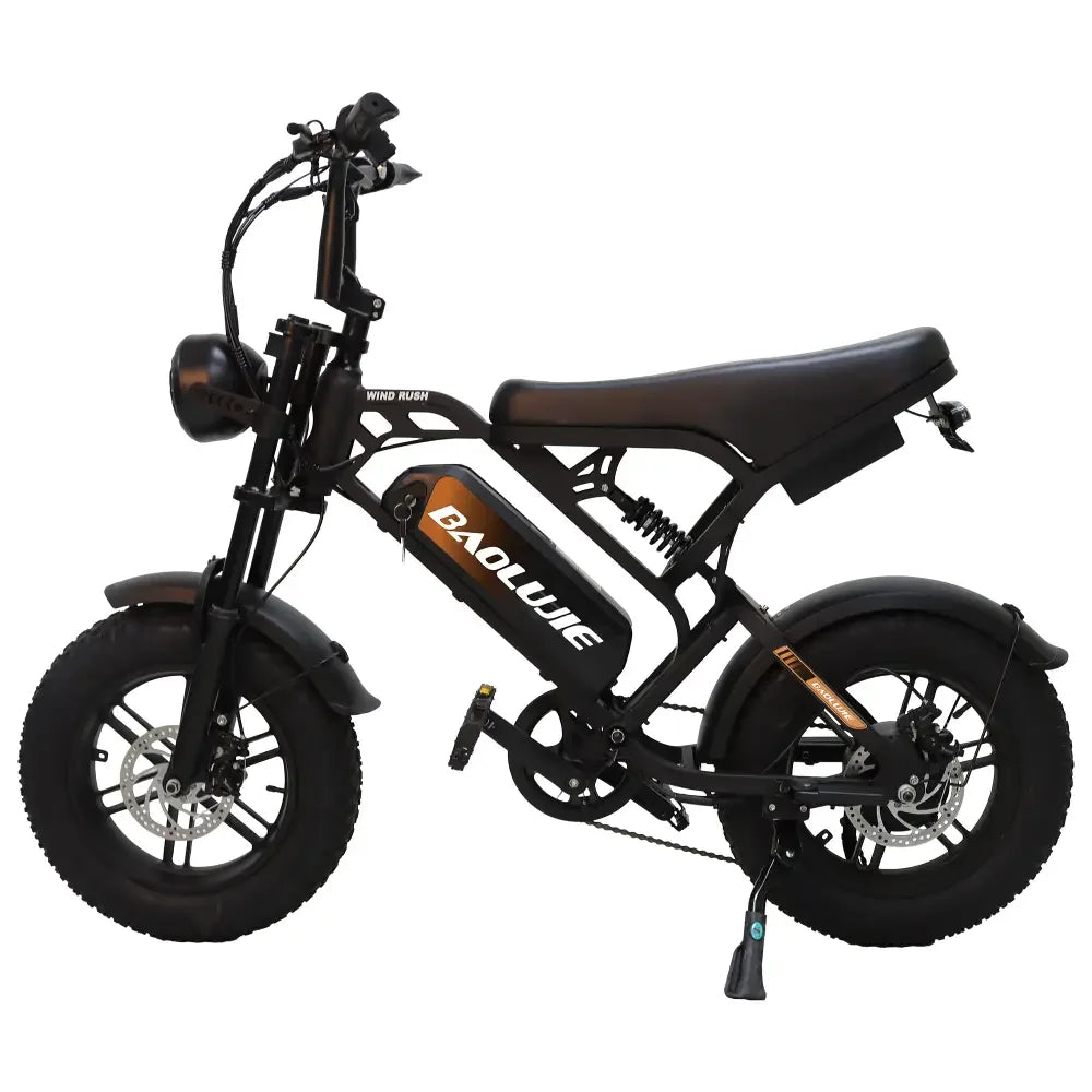 BAOLUJIE F2 EBike Motor Electric Bicycle 48V 13AH Removable Battery Outdoor E-bike for Adults Max Speed 25MPH【1 Year Warranty】