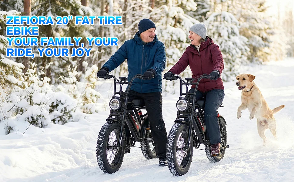 14 Inch Explorer King Mountain Ebike,Certified UL2849 45° Climbing Adjustable Front Brake Seat Factory Original Free Local Shipping
