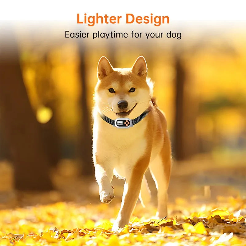 Smart GPS Pet Electronic Fence Wireless Pet Enclosure Waterproof Outdoor Training Collar for Dogs Pet Products Accessories