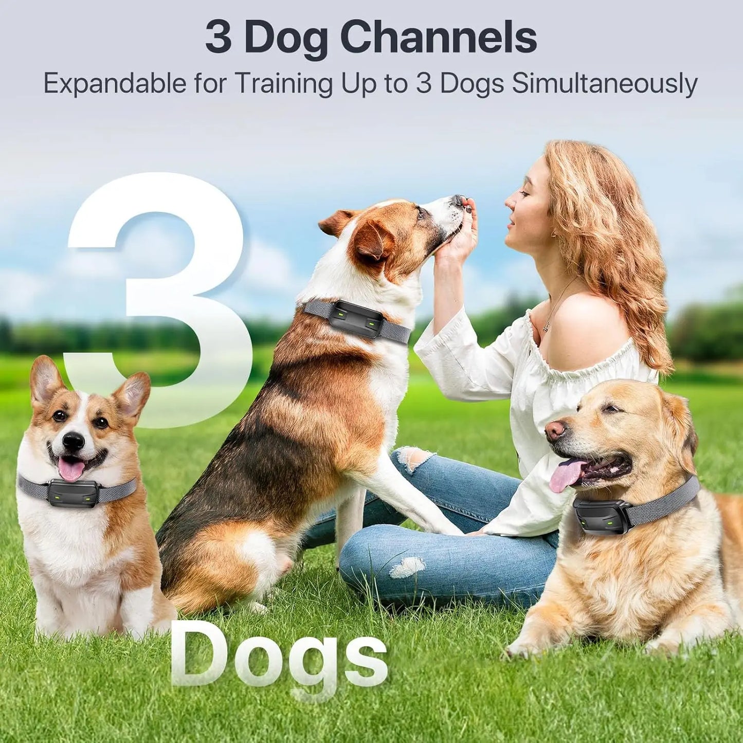 Dog Shock Collar with Remote Control, Waterproof Training Collar for Large Medium Dogs 40-120lbs, Beep Vibration Security Lock (