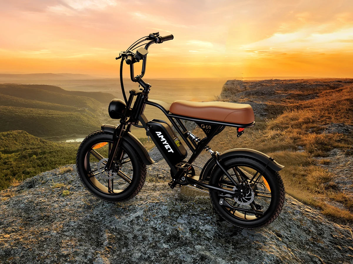 AMYET V9-G60 Adults Electric Bike 1000W Motor Bicycle 48V 20AH 20“ Tire Ebike Electric E Bikes Mountain Moped Ebikes For Men