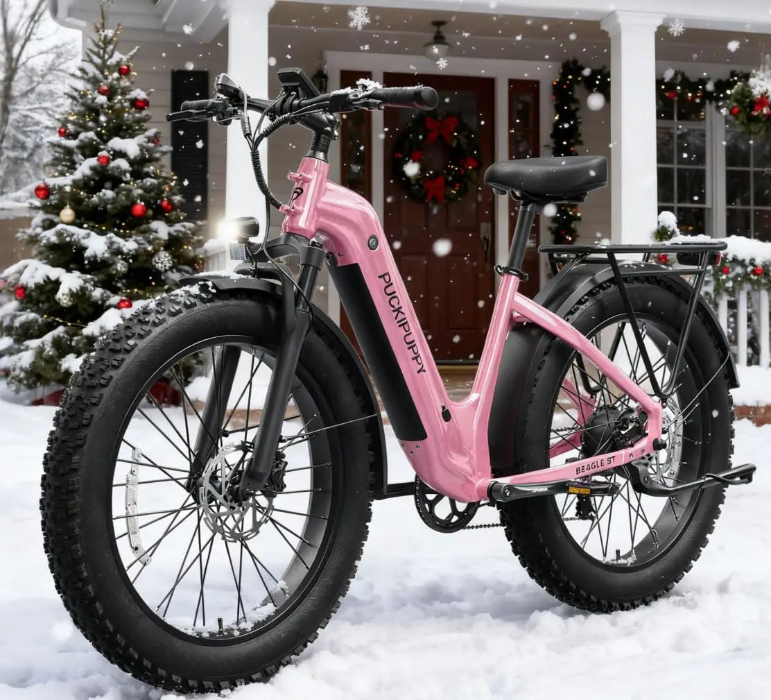 Electric Bike for Adults 960W, 26" Fat Tire, Step-Through Design Electric Mountain Hunting Bike, 48V 15AH Max 28MPH, Customized